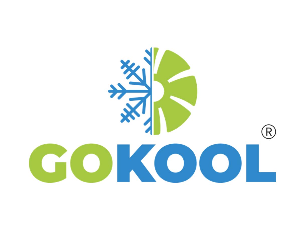 GoKool factory and team